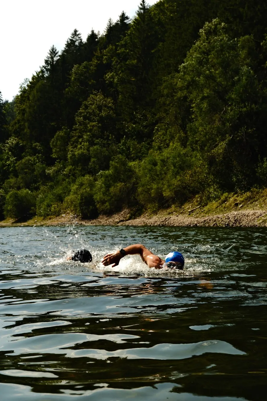Hans-Jörg Stolz beim Kraulen in einem Bergsee, dahinter bewaldetes Ufer
